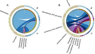 Multi-omics insights into the energy compensation of rumen microbiota of grazing yaks in cold season